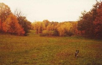 James Mc Robbie farm in Autumn