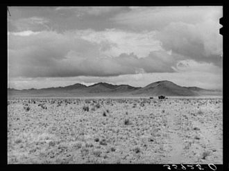 The desert on a grey day. Socorro County, New Mexico
