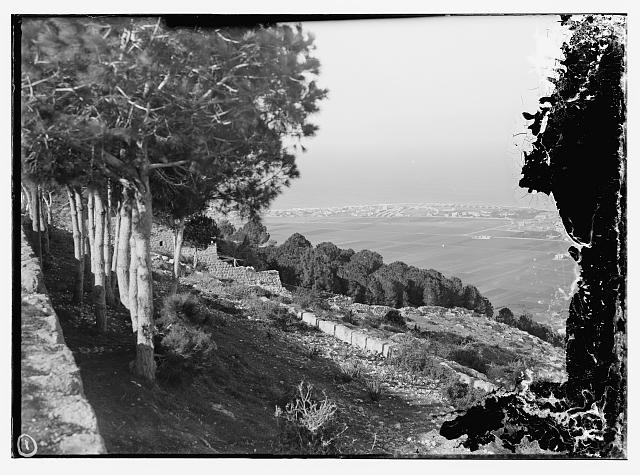 Haifa from Mt. Carmel