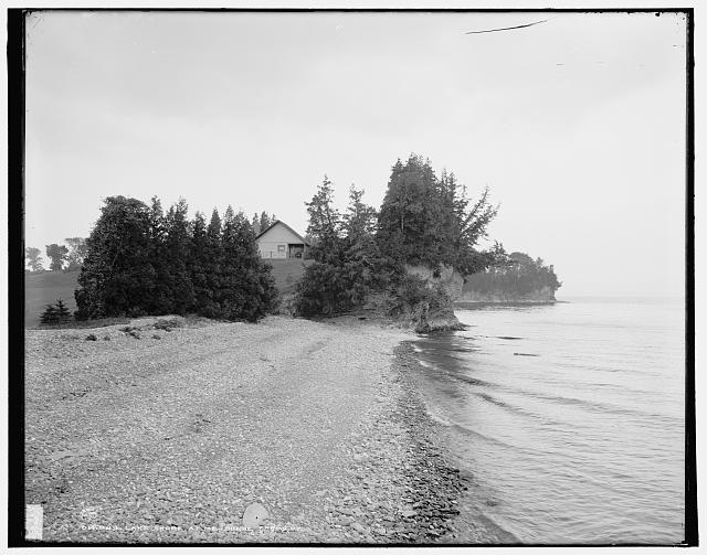 Lake shore at Melburne [i.e. Shelburne] Farms, Vt.