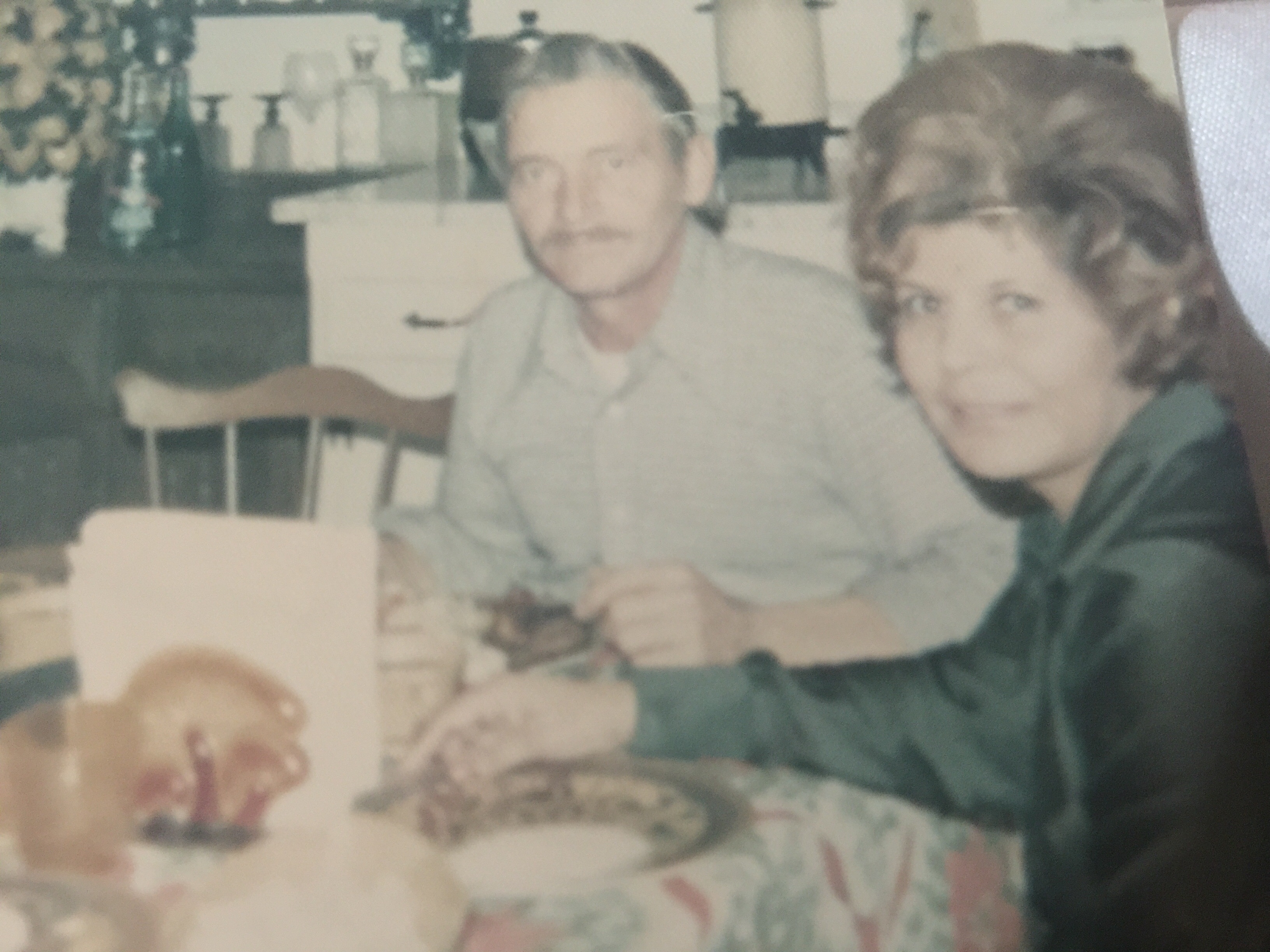 Lydia and Emil John Helmer