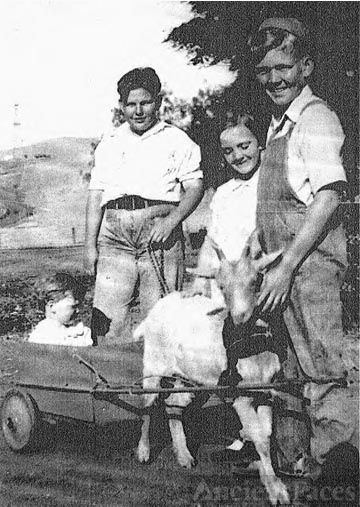 Phillips Kids