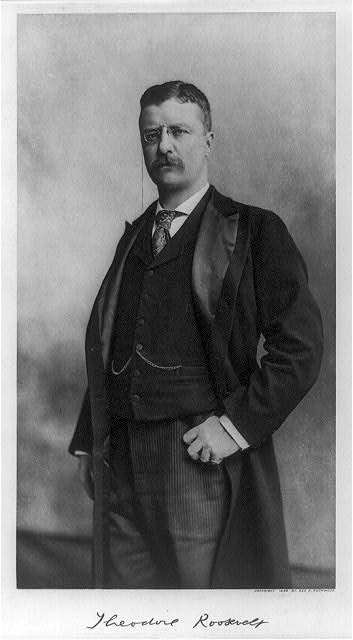 [Theodore Roosevelt, three-quarter length portrait,...