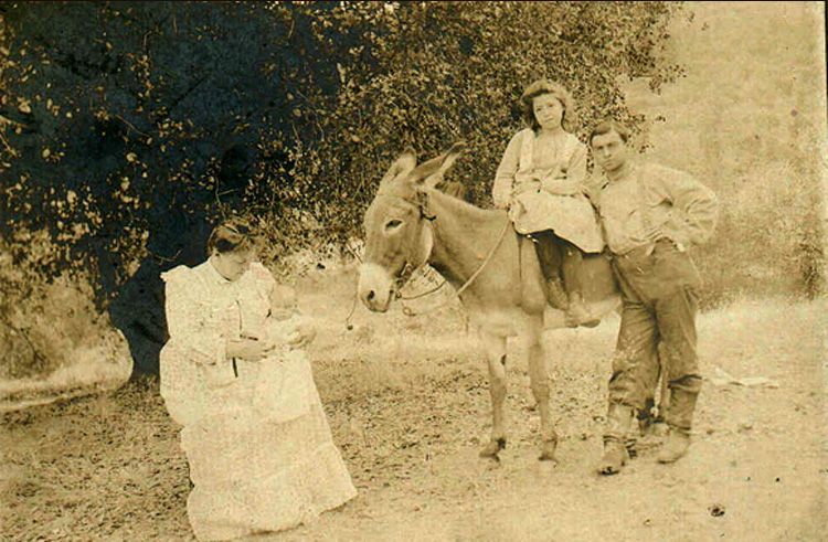 Family with daughter sitting on a mule