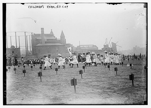 Children's Farm, N.Y.C.