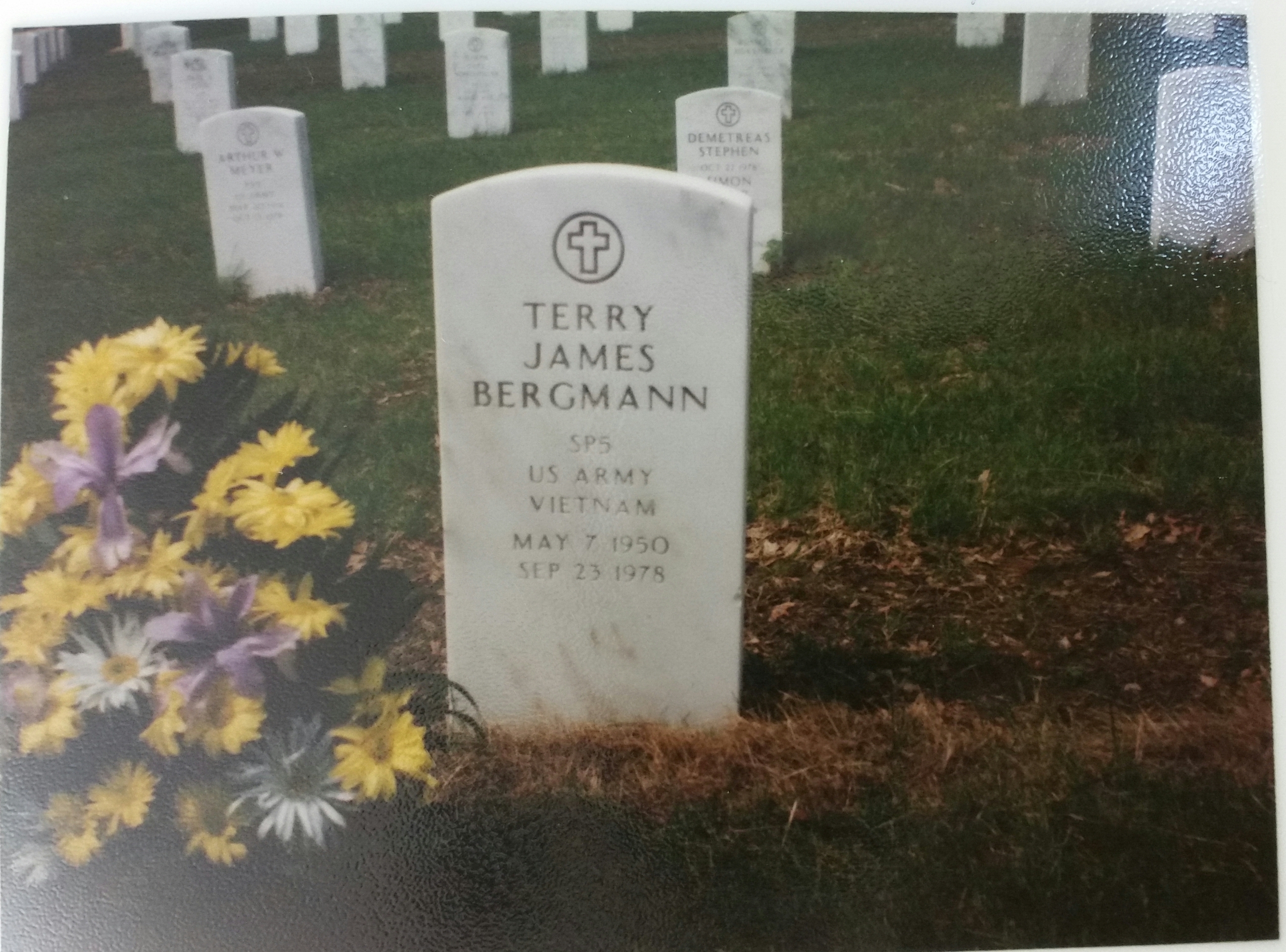 Terry J Bergmann gravesite