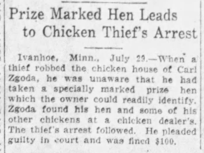 Prize Marked Hen Leads to Chicken Thief's Arrest