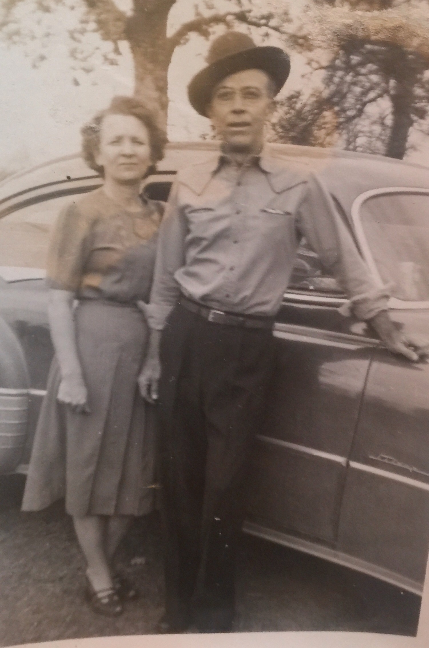 Lorene J Sitton