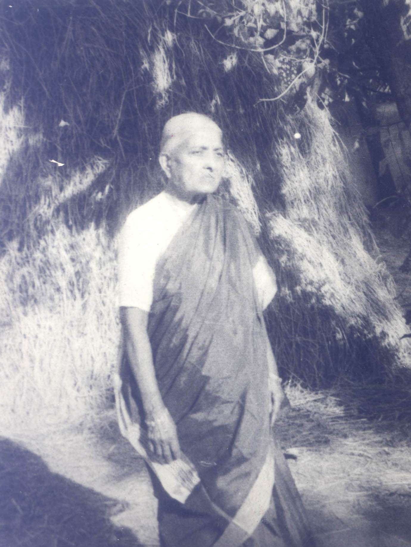Ammayamma : Seshendra Sharma's Mother
