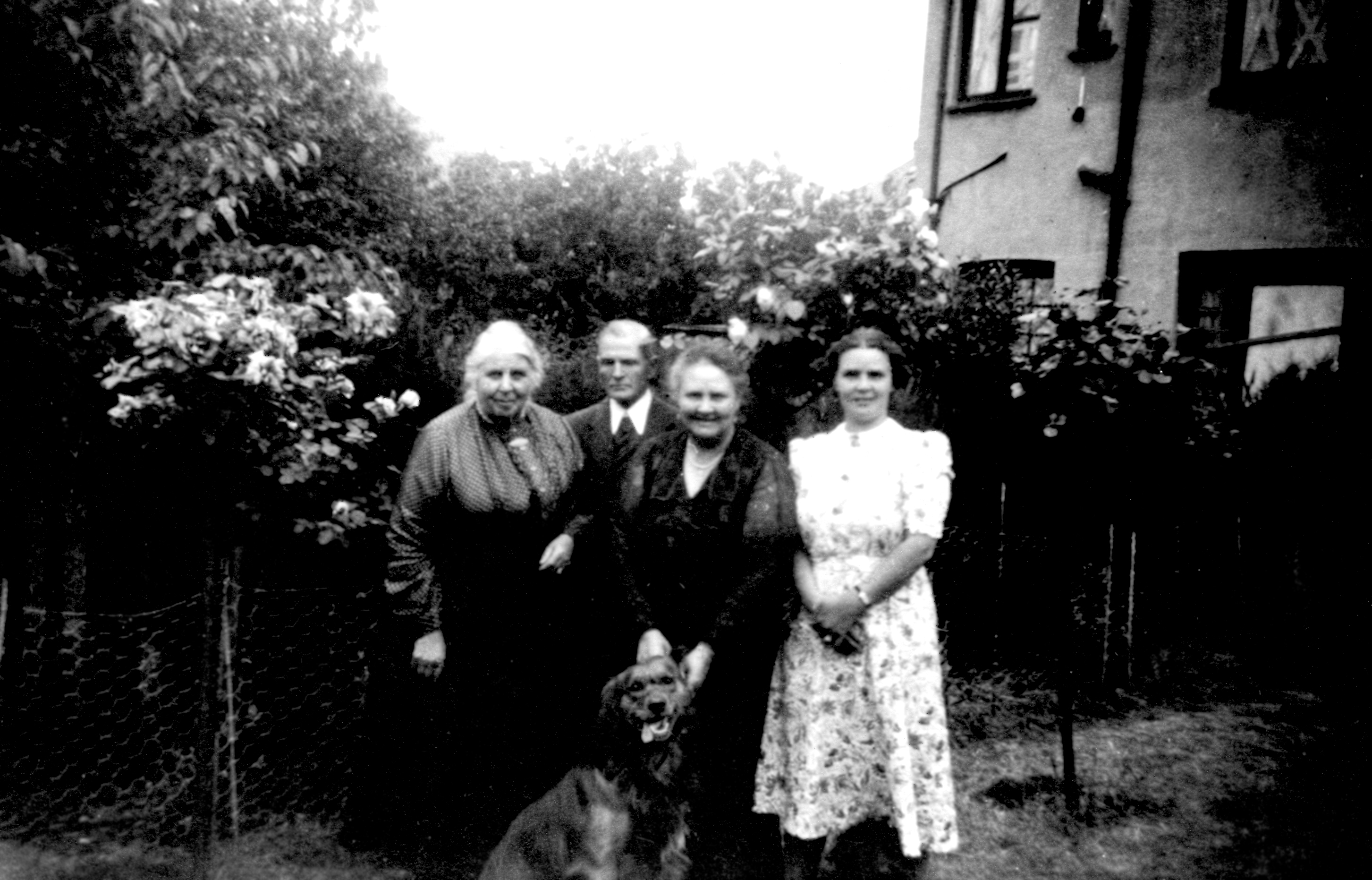 Eliza Ann (Cook) Baldwin