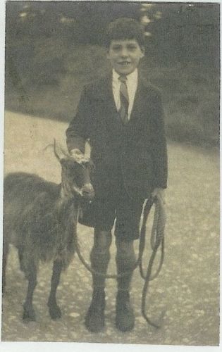 Morris family member ?
