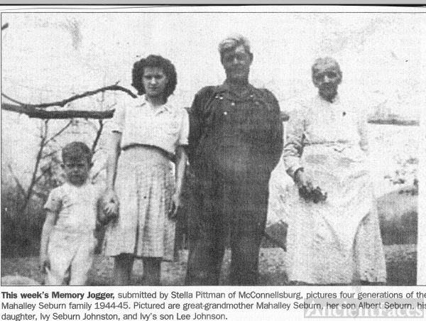Seburn family