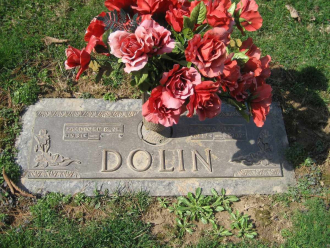 Sara Nell Dolin Sara Nell Dolin