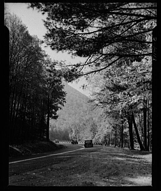 Mohawk Trail winding through the Berkshires, Massachusetts