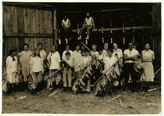 Group of shed workers at Wetstone farm, 14 of them were...