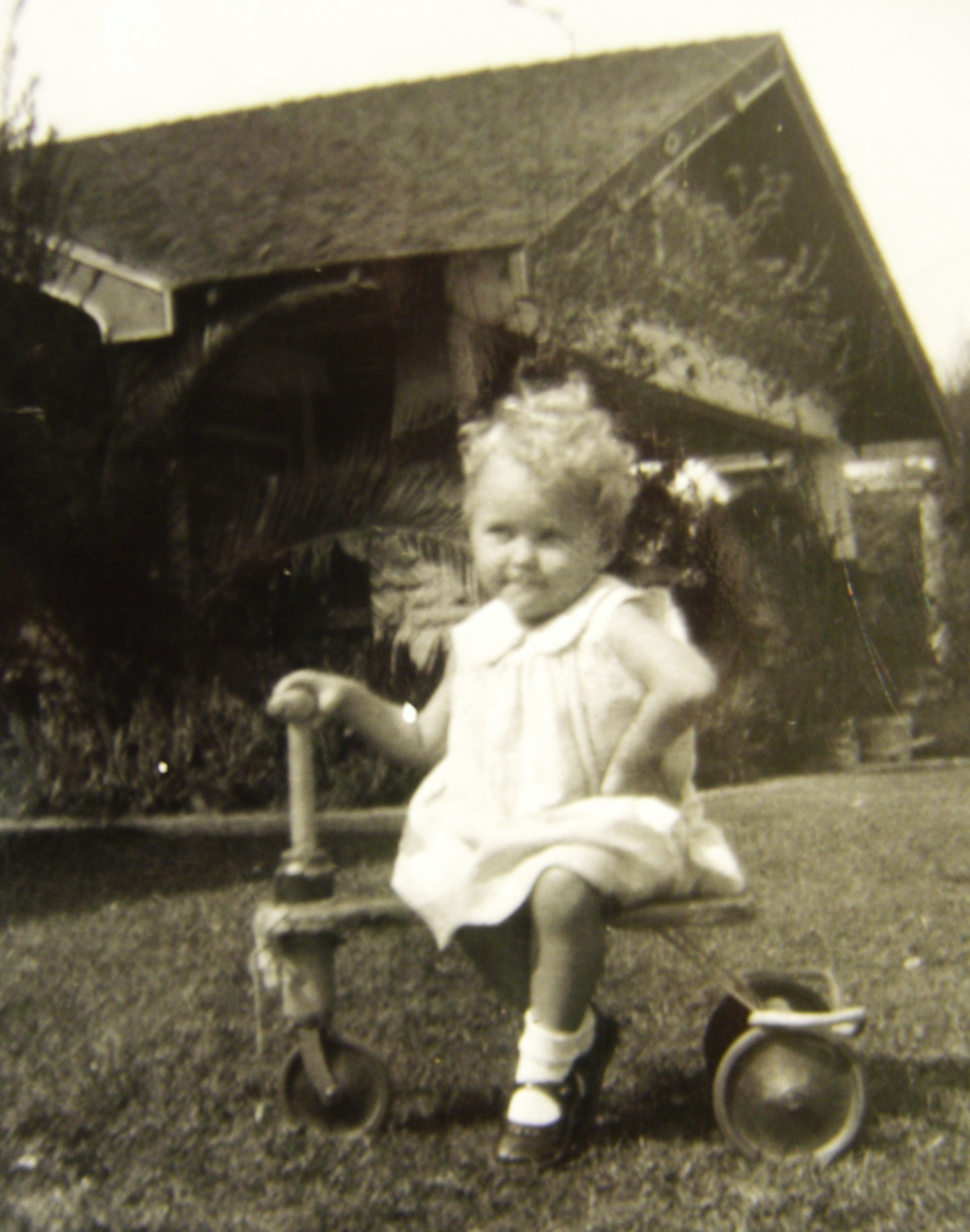1940's Child On Her Kiddie-Kar Trike