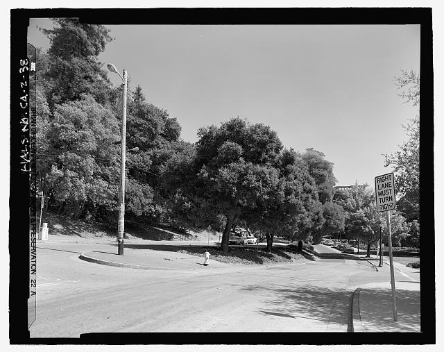 ALTERNATE VIEW OF NORTH END OF PIEDMONT AVENUE. OAK GROVE...