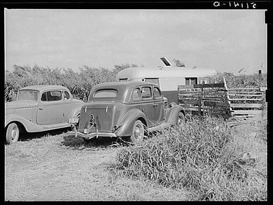 Migrant workers parked as close to the packinghouse as...