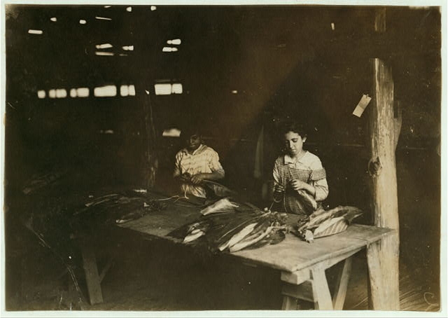 Young girls of 11, 12, 13 yrs., string in shed of...