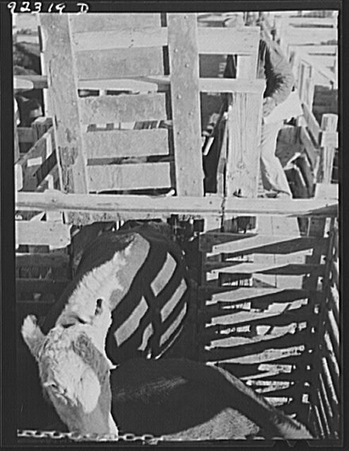[Untitled]