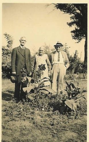 Albert Wayne, Priscilla, & Homer Sheeks Albert Wayne, Priscilla, & Homer Sheeks