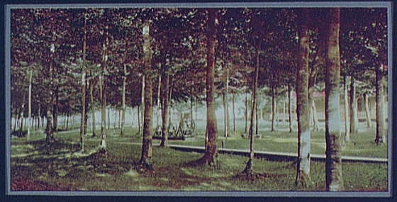 The Grove at Bay View, Michigan