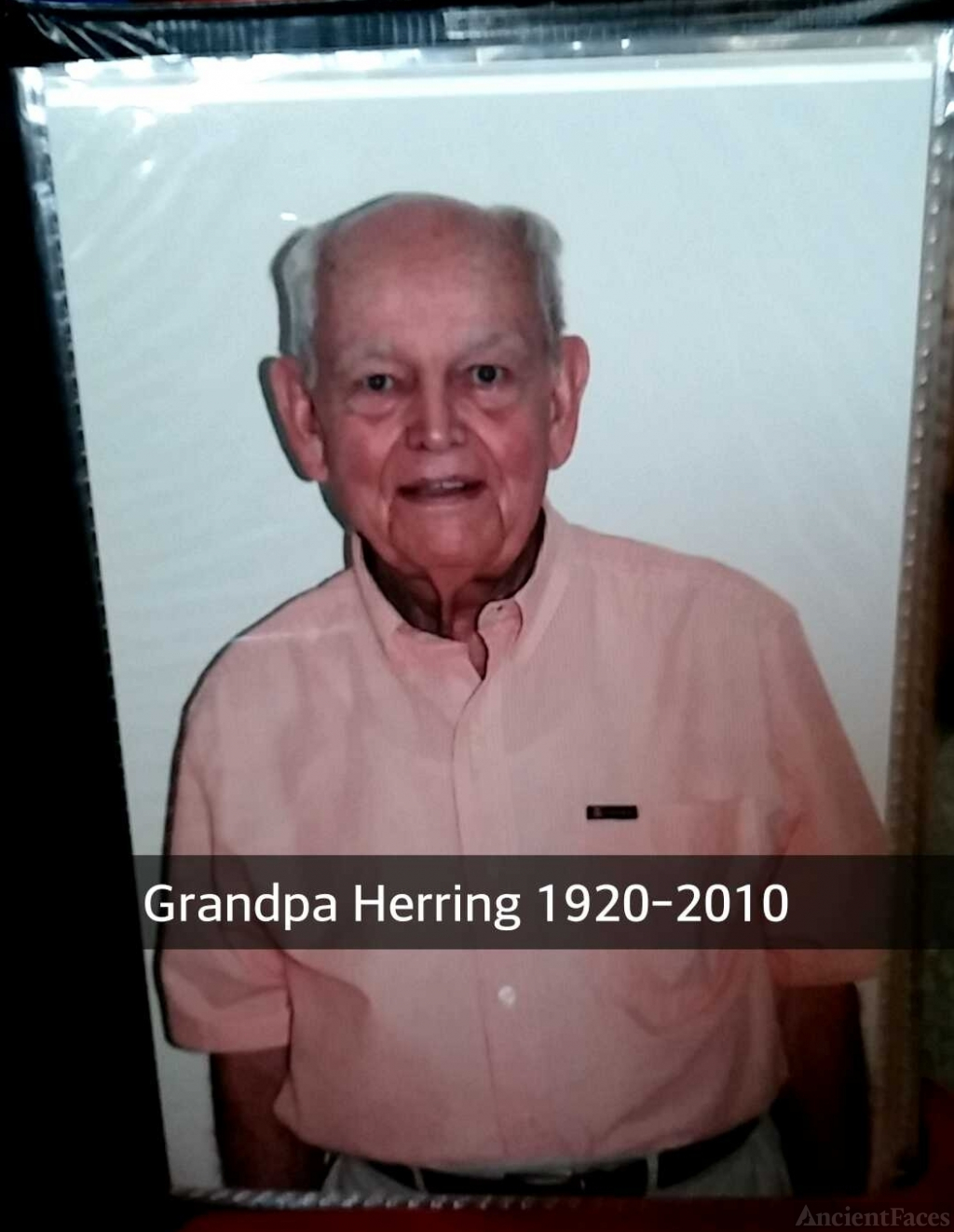 Willie H Herring