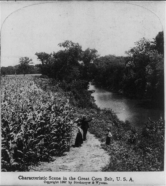 Characteristic scene in the great corn belt, U.S.A.