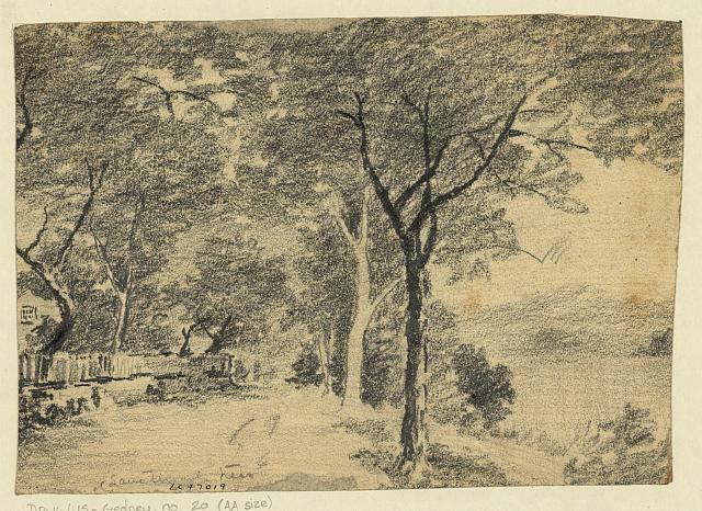 Lane through trees