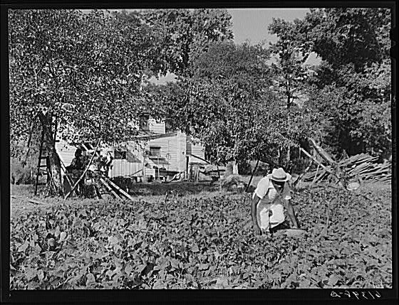 Eugene Smith, FSA (Farm Security Administration)...