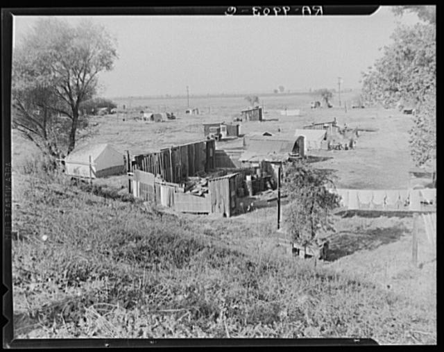 Migrant camp on the outskirts of Sacramento, California...