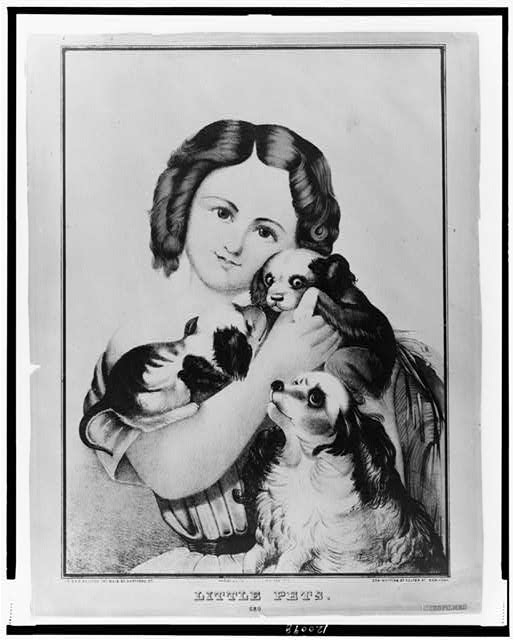 Little pets / E.B. & E.C. Kellogg, Hartford, Ct. ; Phelps...