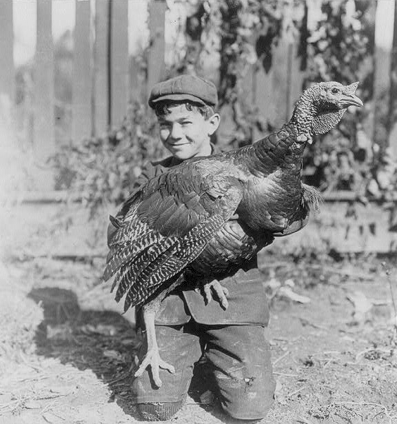 A Boy and his Turkey 1900