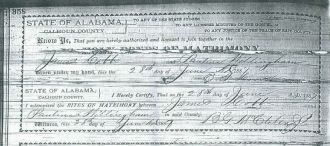Marriage License,James N.Cobb&Paulina Willingham