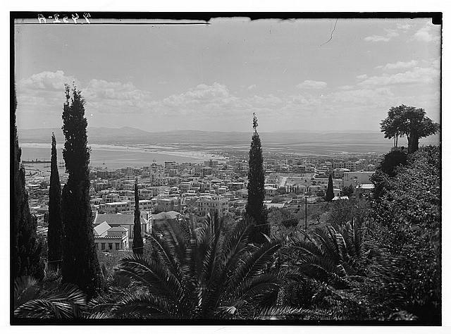 Haifa from Mt. Carmel