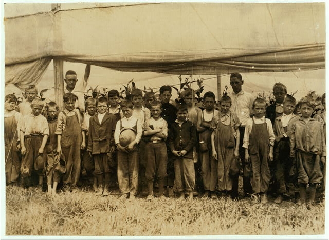 Young pickers in field, American Sumatra Tobacco Co. We...