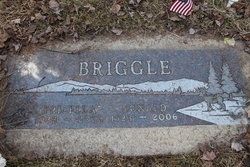 Donald Elden Briggle gravesite