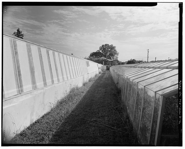 2. VIEW SOUTH, ALLEY BETWEEN GREENHOUSES #4 AND #5...