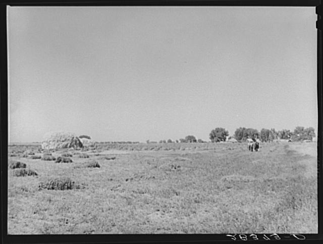 Scene on the farm of Andy Bahain, FSA (Farm Security...