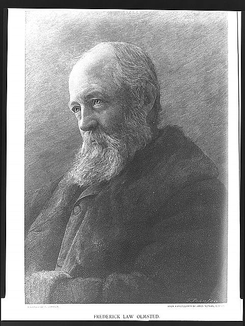 Frederick Law Olmsted / engraved by T. Johnson ; from a...