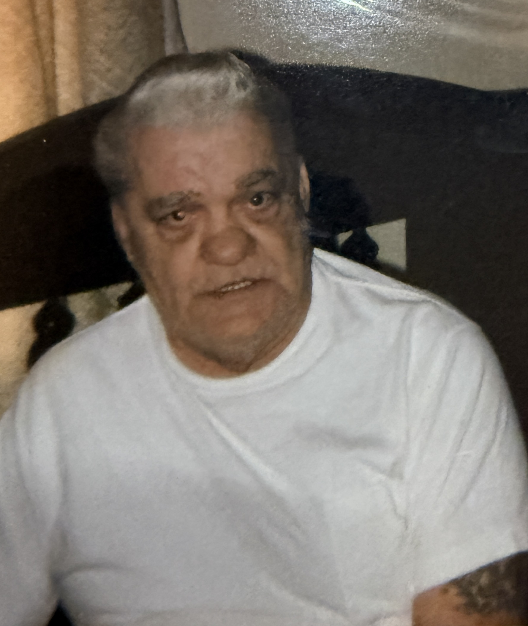 Peter Mazzitelli