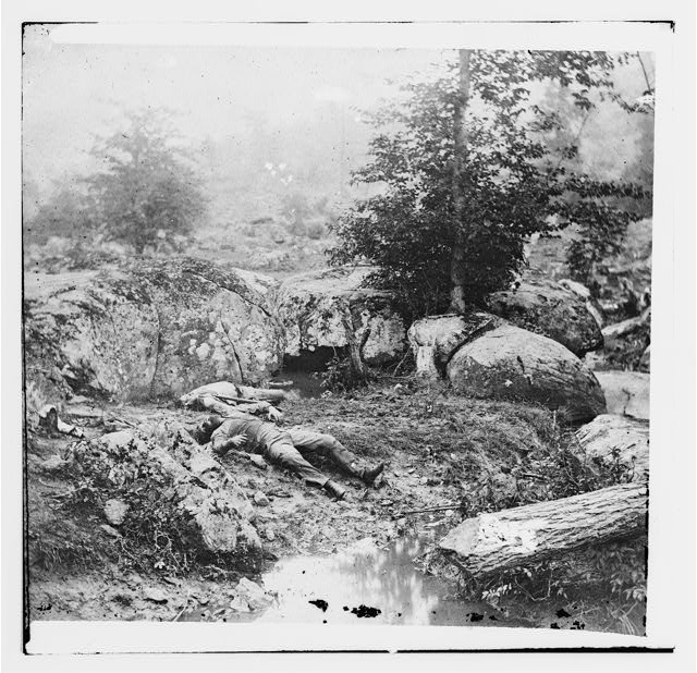 [Gettysburg, Pa. Dead Confederate soldiers in the...