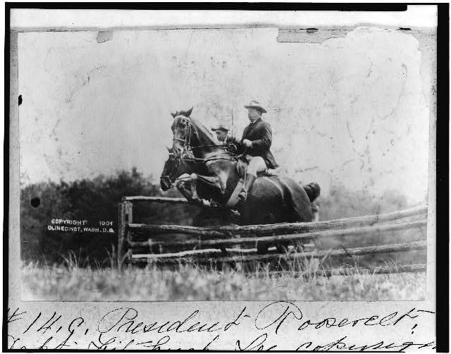 [President Theodore Roosevelt and Capt. Fitzhugh, on...
