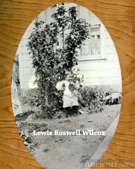 Lewis Roswell "Roy" Wilcox