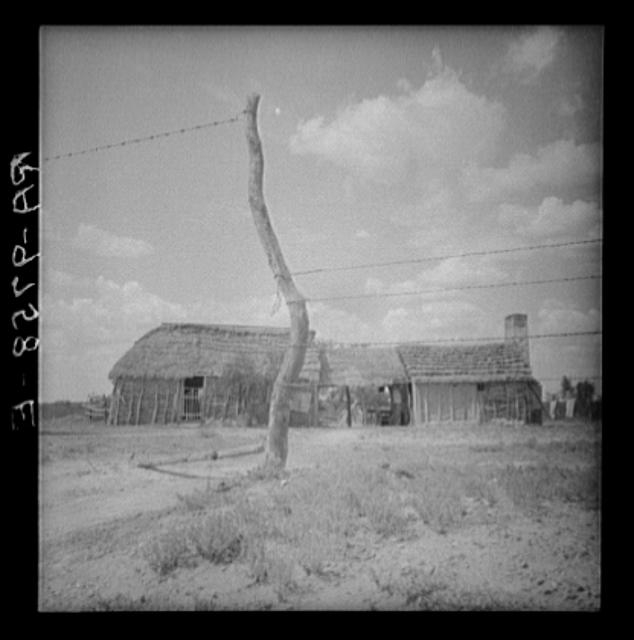Type of dwelling of the lower Rio Grande Valley, Texas