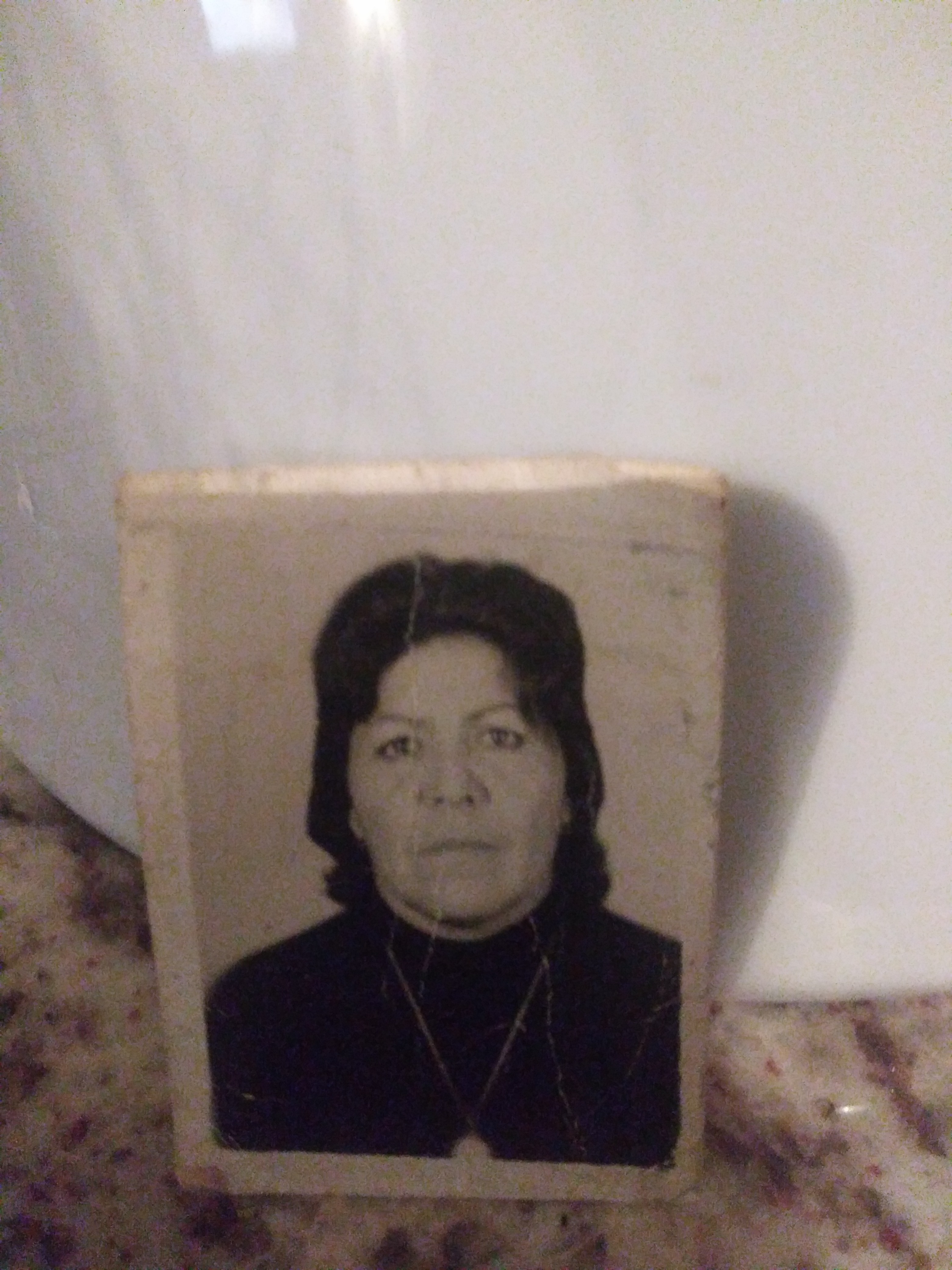 Julia Arango belonging