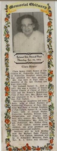 Clara Agnes (Oldt) Bower