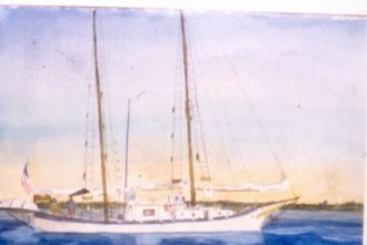 Skipjack - Watercolor by Fred Halkett