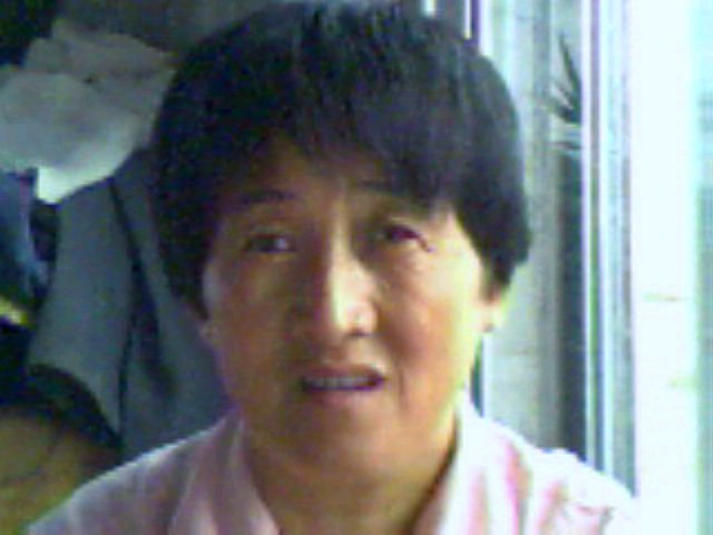 Shuzhen Zhang