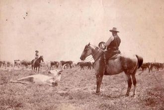 Henry F. Fowler Roping Cattle